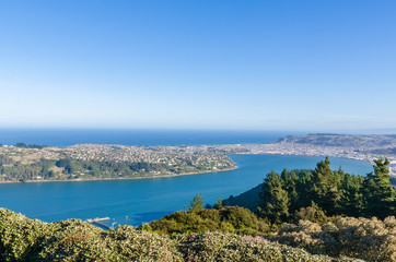 Naklejka premium Beautiful cityscape view of the Dunedin in New Zealand. 