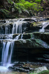 Obraz premium Close up to Leura Cascades - Blue Mountains, New South Wales, Australia.