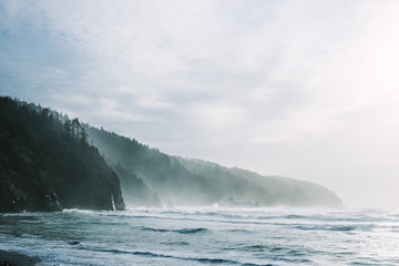 Morning at the Ocean