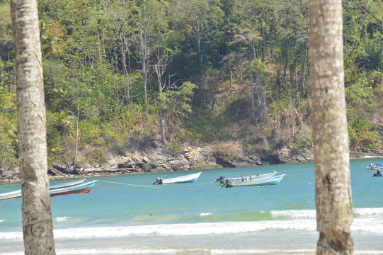 Island Life