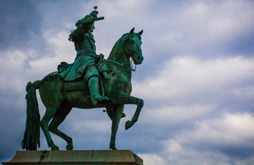 Fototapeta premium Cavalo verde