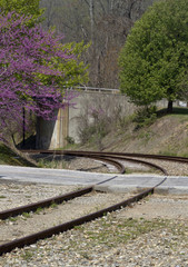 Which Path to Take