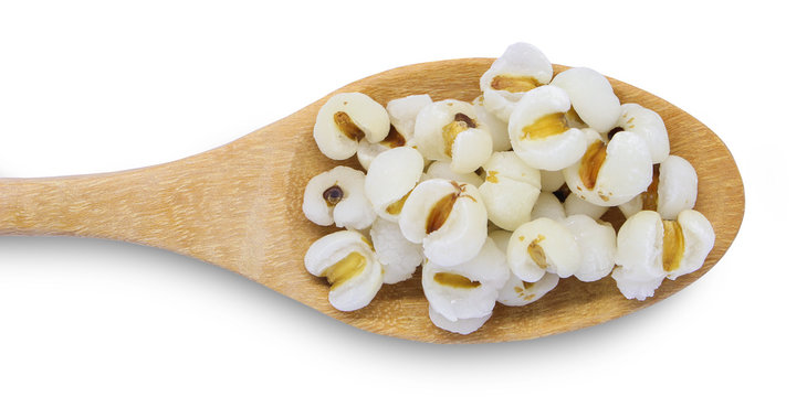 boiled Job's tears or adley or Coix lacryma-jobi in wooden spoon is a very nutritious cereal. The seeds are rich in minerals, vitamins, dietary fiber, and essential amino acids. in clude clipping path
