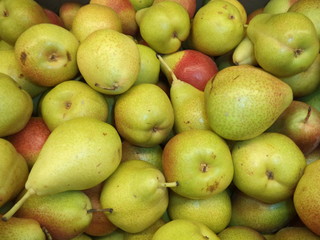 harvest of ripe sweet pears