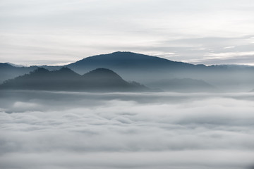 Mgła nad lasem w minimalistycznej fotografii - 210936960