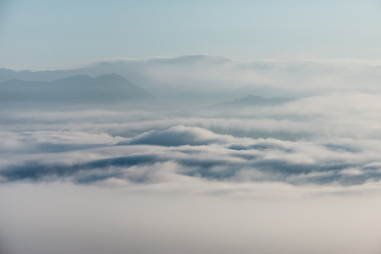 sea of clouds over the forest, Black and white tones in minimalist photography