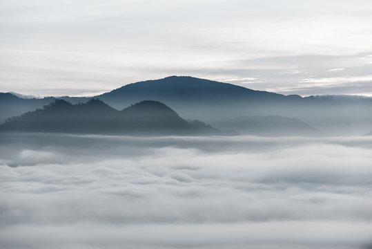 Fog above the forest in minimalist photography