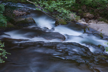 Mountain Stream