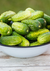Cucumbers in bowl in garden on sunny day