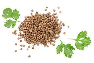 coriander seed and leaves isolated on white background. Top view. Flat lay pattern