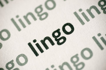 word lingo printed on paper macro