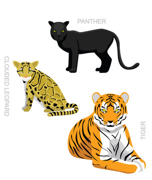 Wild Cats Set Clouded Leopard Tiger Panther Cartoon Vector Illustration