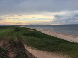 Beach love