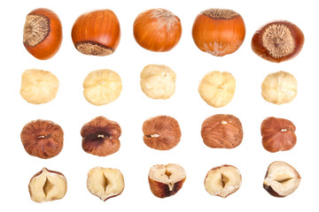 Hazelnut isolated on white background. Set or collection. Top view. Knolling
