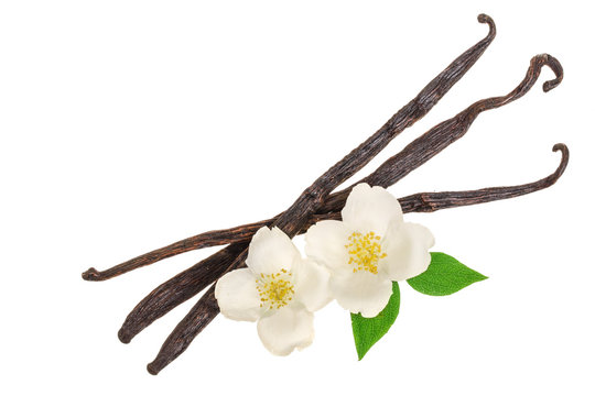 Vanilla Sticks With Flower And Leaf Isolated On White Background. Top View. Flat Lay