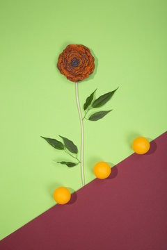 Brooch of fulled wool in the form of a flower on a color background