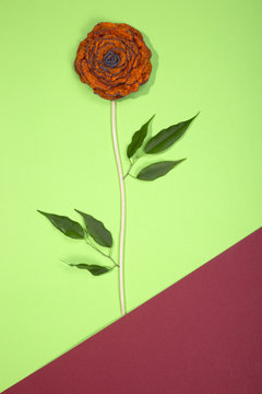 Brooch of fulled wool in the form of a flower on a color background