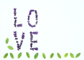 Letters of love  from fresh lavender flowers / ..Capital letters made of lavender on white background, flat lay, top view, copy space
