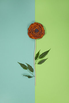 Brooch of fulled wool in the form of a flower on a color background