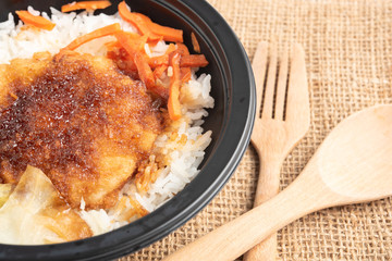 Japanese food, Rice with Pork Cutlet (Tonkatsu) on white background.