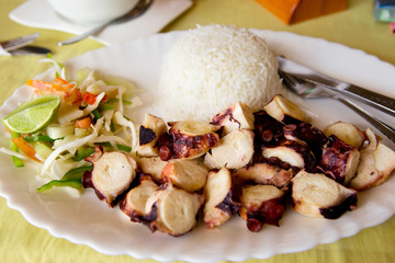 Fried squid with rice and salad
