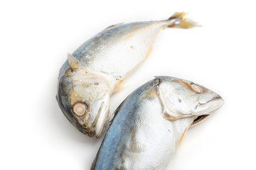 Fresh mackerel on white background.