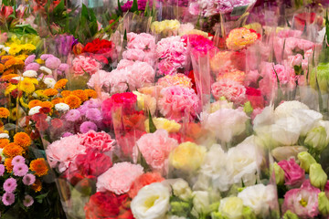 Flowers sold in a variety of colors.