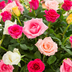 Flowers that embellish in weddings and parties.