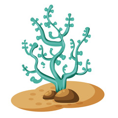 Marine green algae seaweed, corals, plant underwater, isolated on white background, vector, cartoon style