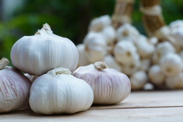 Fresh raw garlic on wooden table, copy space, kitchen raw ingredient concept