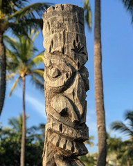 Polynesian Tiki Carved from a Palm Tree Trunk