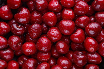 Close up of ripe sweet cherries pile. Large collection of fresh red cherries. Ripe cherries background. 