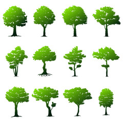 Fototapeta premium Set of trees