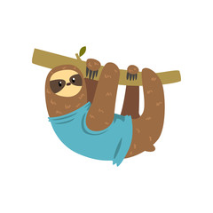 Funny sloth hanging on the tree, lazy exotic rainforest animal character vector Illustrations on a white background