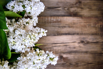 White lilac on wooden background