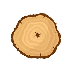 Cross section of tree trunk with annual growth rings. Natural texture, organic material. Flat vector icon