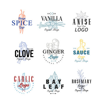 Spice logo design set, vanilla, anise, clove, ginger, soy sauce, bay leaf, garlic, rosemary badge can be used for culinary, cosmetics, menu, restaurant, shop, market vector Illustrations