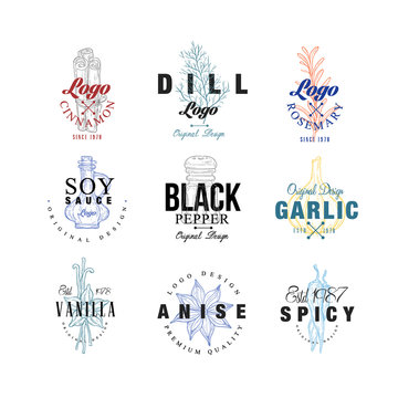 Spice logo design set, dill, soy sauce, pepper, garlic, rosemary, vanilla, anise badge can be used for culinary, cosmetics, menu, restaurant, shop, market vector Illustrations