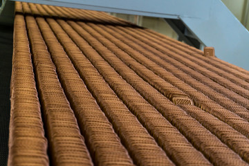 Automated biscuit cookies production processing plant conveyor.