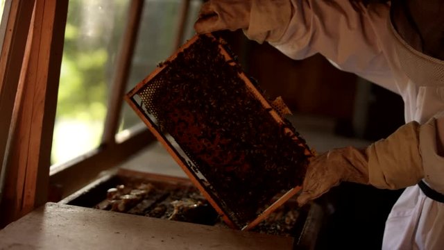Bienenwabe