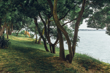 Obraz premium Eco Tourism Concept. Picturesque sea coast of Gelendzhik bay. Gelendzhik, Russia