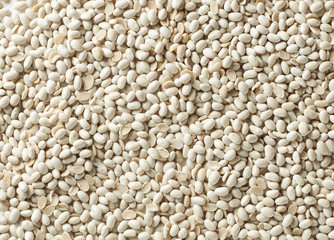 Weiße Bohnen Hintergrund