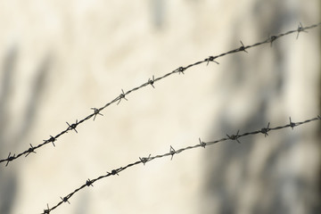 Barbed wire close up on a gray background.