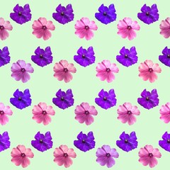 Decorative flower background. Seamless colorful pattern. Petunia.Geranium.