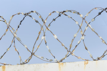 Barbed wire and blue sky in the background. Close-up