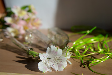 summer floral background. Summer flowers composition. Orchids and ferns

