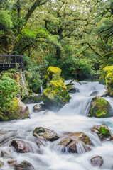Waterfall in Lake Marian which is located in the Fiordland National Park, Milford sound, New...