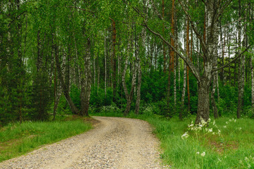 Country road to forest