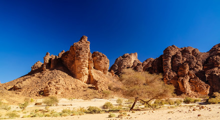 Fototapeta premium Bizzare rock formation at Essendilene, Tassili nAjjer national park, Algeria