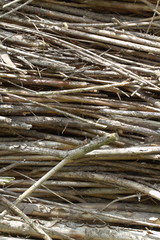 Heavy fence made of brushwood, natural fence